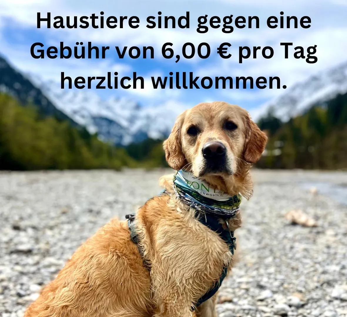 Bergstueble A15 Montana Haus Daire Oberstdorf